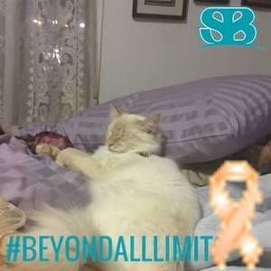 Meet your Posher, Holly